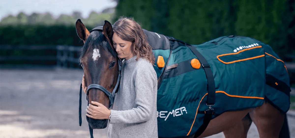 BEMER equine therapy