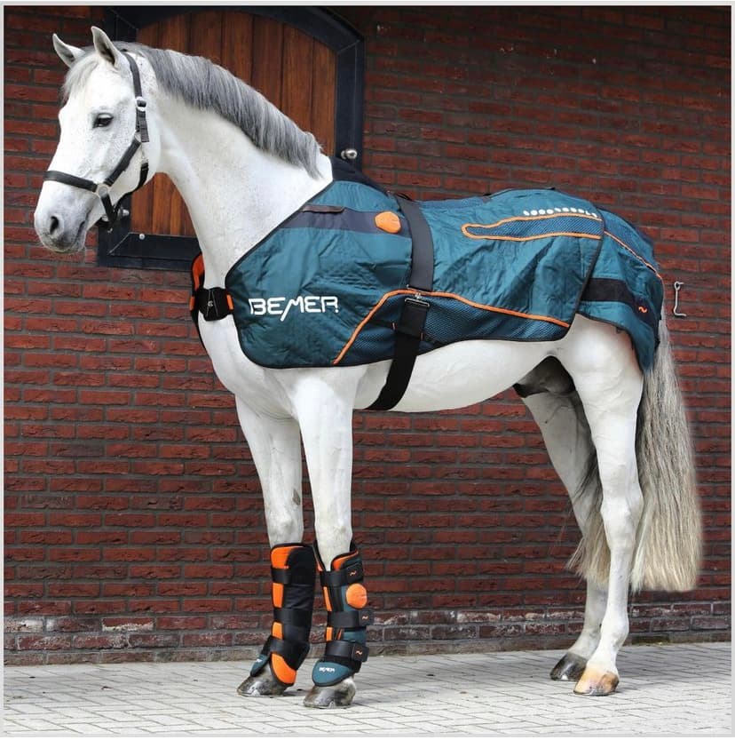 BEMER B.HORSE blanket