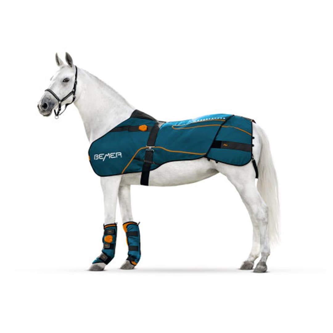 BEMER Equestrian System